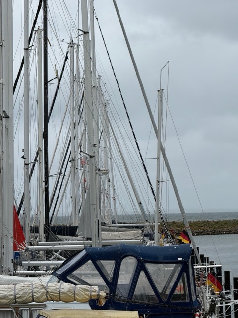 Die gestellten Masten der Auguste im Hafen