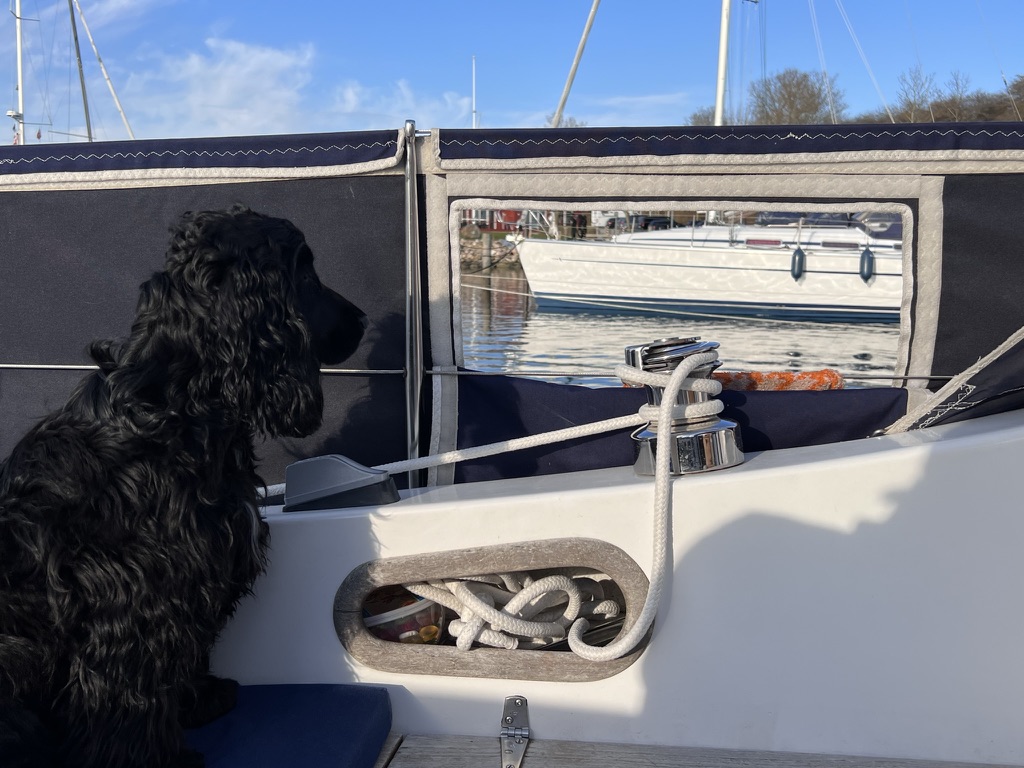 Der Bordhund