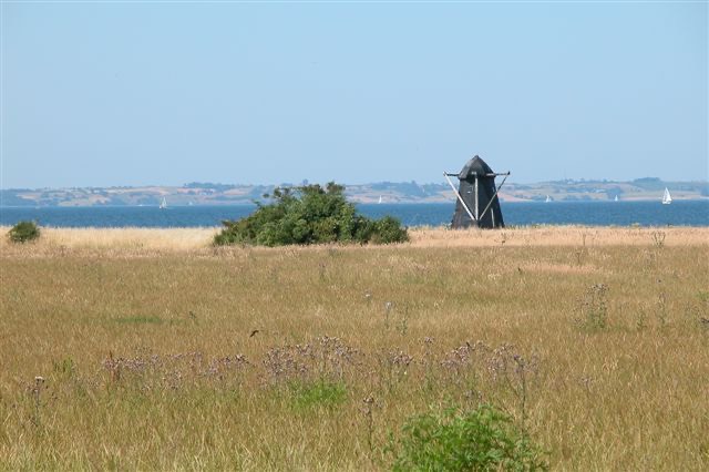 Schwarze Kappenwindmühle über Wiesen, dahinter das Meer mit Segeln