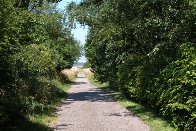 Schmaler Feldweg zwischen Hecken, am Ende das Wasser