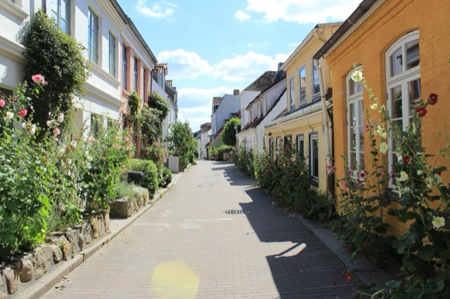 Sonnige Gasse mit niedrigen Häusern und blühenden Stockrosen