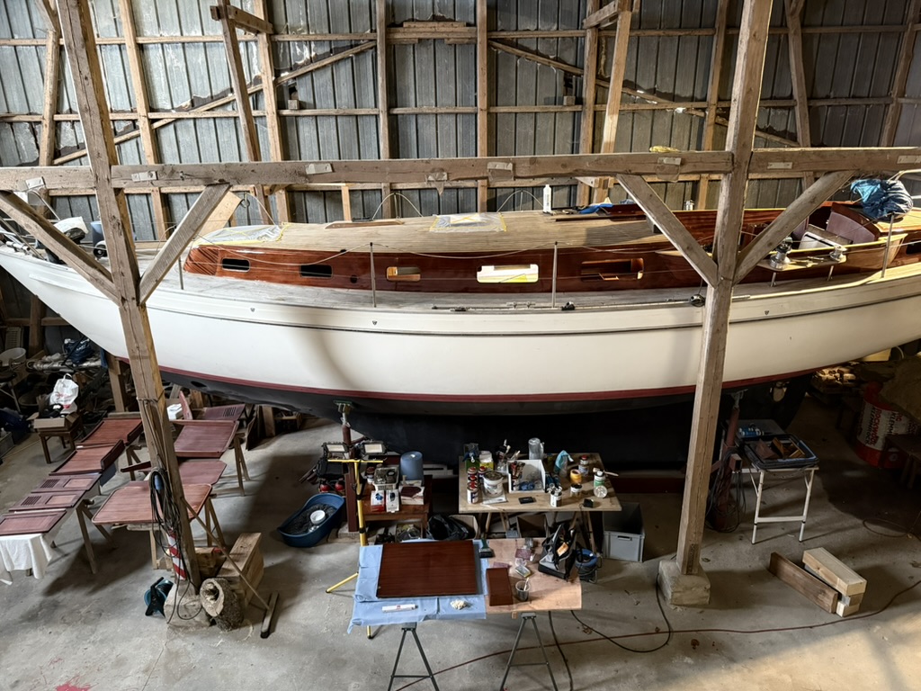 Augustes erstes Weihnachten